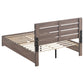 Brantford Wood Queen Storage Panel Bed Barrel Oak