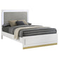 Caraway Wood California King LED Panel Bed White