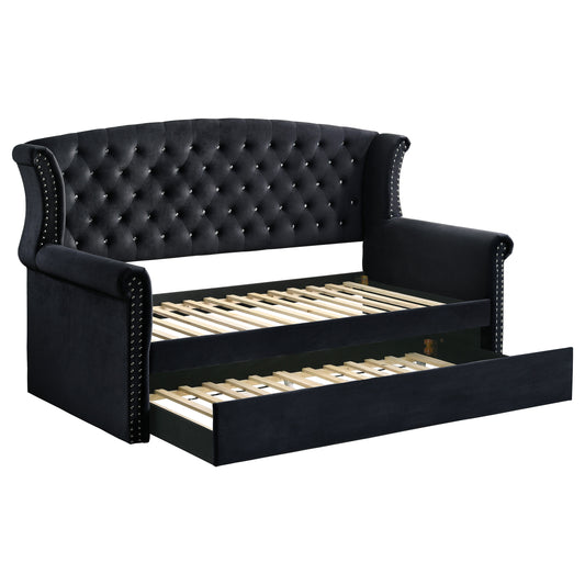 Scarlett Upholstered Twin Daybed with Trundle Black