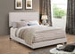 Boyd Upholstered Twin Panel Bed Ivory