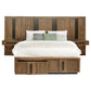 Terrace Eastern King Wall Panel Storage Bed Ash Brown