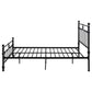 Novak 48-inch Metal Eastern King Open Frame Bed Matte Black