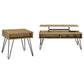 Fanning 2-piece Lift Top Coffee and End Table Set Golden Oak